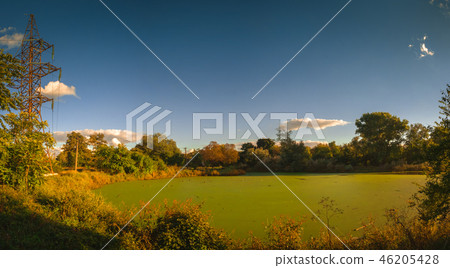 Old dirty pond covered with duckweed and mud Old dirty pond covered with duckweed and mud 46205428