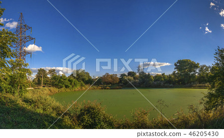 Old dirty pond covered with duckweed and mud 46205430