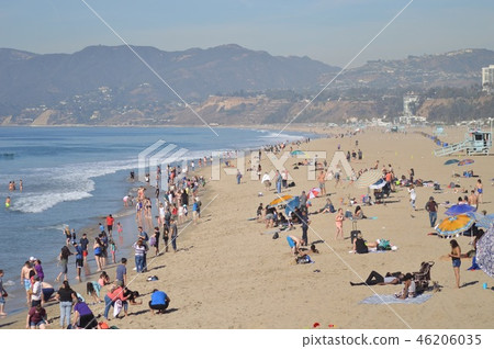 在南加州的海灘 46206035