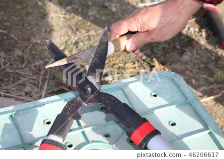 削尖修剪剪刀 46206617