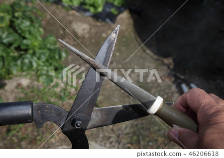 削尖修剪剪刀 46206618