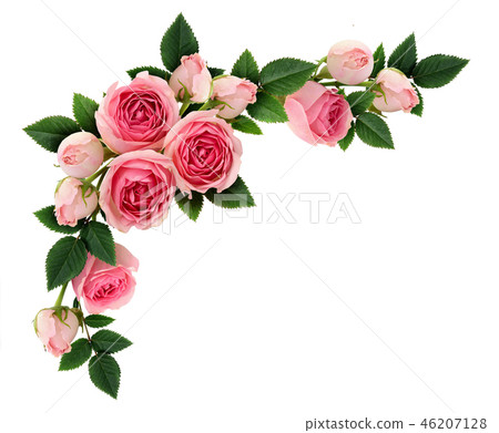 Pink rose flowers and buds corner arrangement 46207128