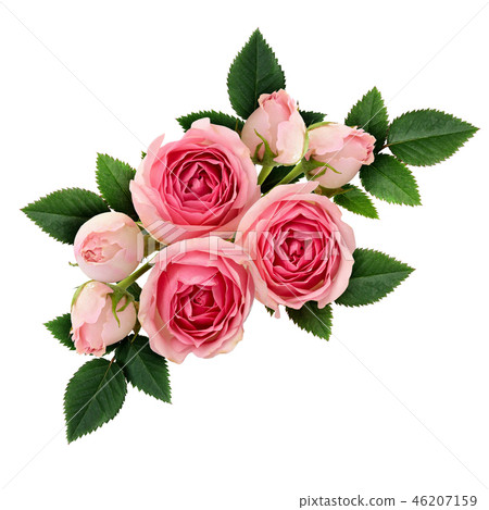 Pink rose flowers arrangement 46207159