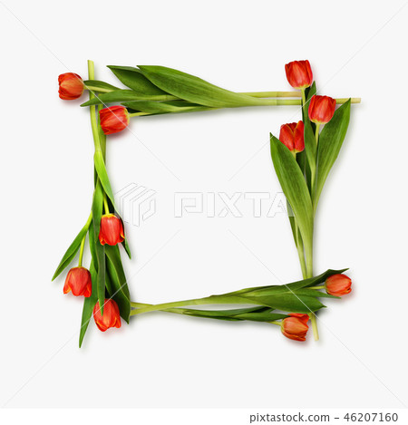 Red tulip flowers frame 46207160