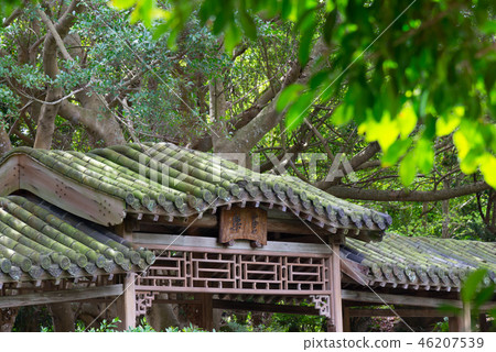 The Palace Museum to the Good Garden National Palace Museum to the Good Garden Taipei National Palace Museum The Palace Museum to the Good Garden National Palace Museum to the Good Garden Taipei National Palace Museum 46207539