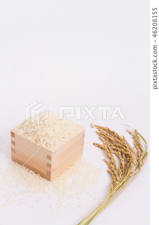 Rice Rice 46208155