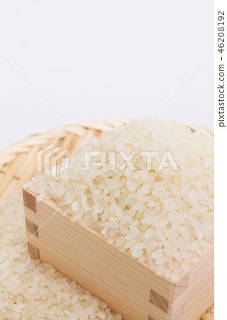 Rice Rice 46208192