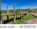 Bamboo bridge 46208504