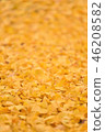 fallen leaves of ginkgo 46208582