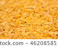 fallen leaves of ginkgo 46208585