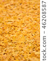 fallen leaves of ginkgo 46208587