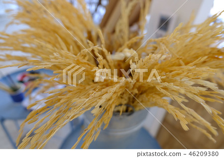Golden Jasmine Rice spike in a interior decoration Golden Jasmine Rice spike in a interior decoration 46209380