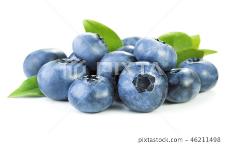 blueberry fruits isolated  46211498