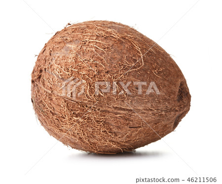 single coconut isolated 46211506