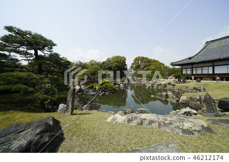 京都二條城Ninomaru花園的池塘 京都二條城Ninomaru花園的池塘 46212174