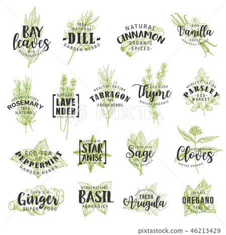 Herbs, spices, seasonings and condiments lettering 46213429