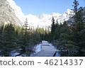Trip of superb view 46214337