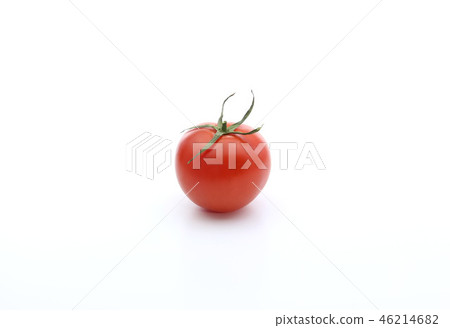 蕃茄 46214682