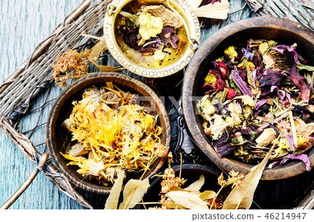 Herbs medicine flowers 46214947