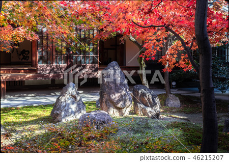 季節性花園 46215207