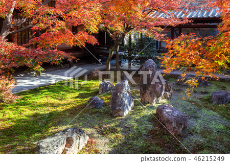 Seasonal garden Seasonal garden 46215249