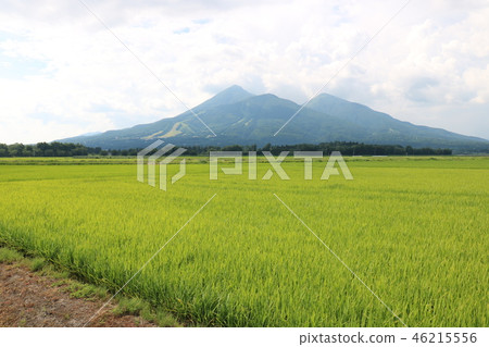 萬代山在夏天 萬代山在夏天 46215556