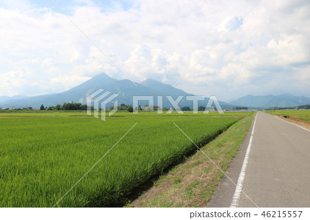 萬代山在夏天 46215557