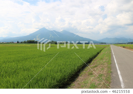 萬代山在夏天 萬代山在夏天 46215558