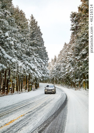 Snow covered Jeju Island Shahriani Forest road, Metashe choir Snow covered Jeju Island Shahriani Forest road, Metashe choir 46216514