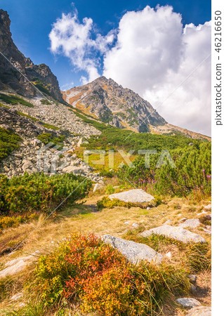 Mountain landscape, High Tatras National Park. 46216650