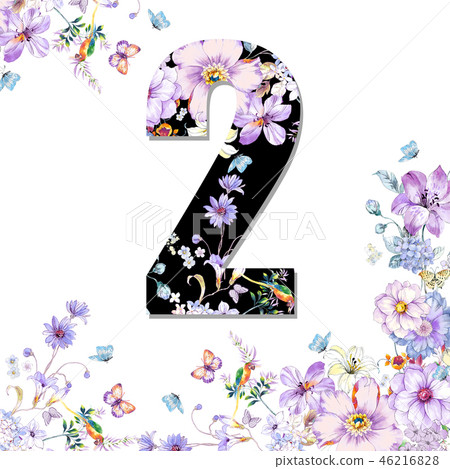 Beautiful flower, peony flower, chrysanthemum flower, wild flower, flower Japanese number 46216828