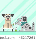 A dog afraid of injection in animal hospital 46217261