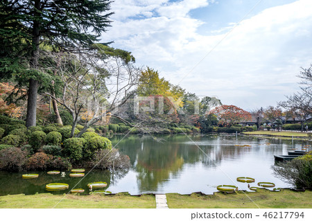  Japan sea hell around tropical water lily big ghost lotus hot spring umi jigoku see hell lily 46217794