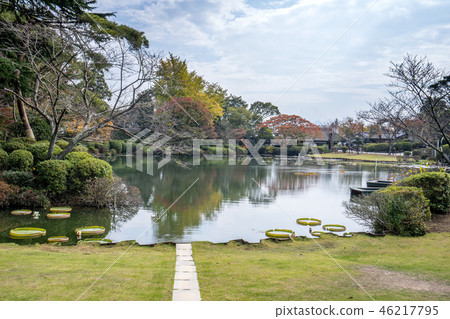  Japan sea hell around tropical water lily big ghost lotus hot spring umi jigoku see hell lily 46217795