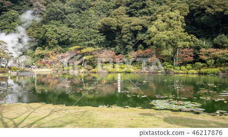 日本 海地獄 周邊 熱帶睡蓮 大鬼蓮 温泉 umi jigoku see hell lily 46217876