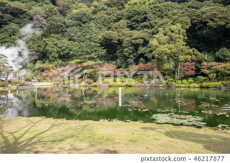  Japan sea hell around tropical water lily big ghost lotus hot spring umi jigoku see hell lily 46217877