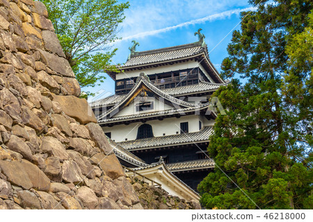 現有的城堡塔松江城堡廢墟 46218000