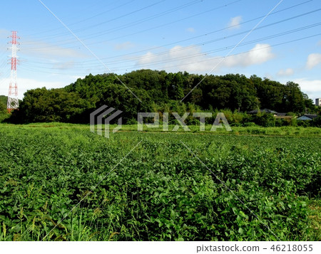 杉山城遺址 杉山城遺址 46218055
