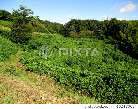 Sugiyama Castle ruins Sugiyama Castle ruins 46218063