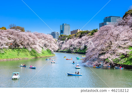 櫻花在東京Chidorigafuchi 46218212