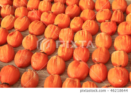 Kouryu（Koro-ha）Koshu Kyu-roh 46218644