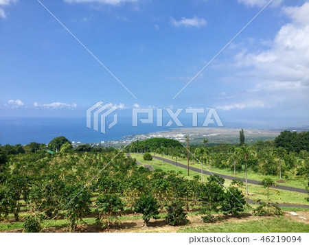 Ueshima島(UCC夏威夷) Ueshima島(UCC夏威夷) 46219094