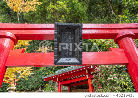 日本 溫泉 海地獄 蒸氣 周邊 觀光 景點 温泉 国指定名勝 umi jigoku see hell 46219433