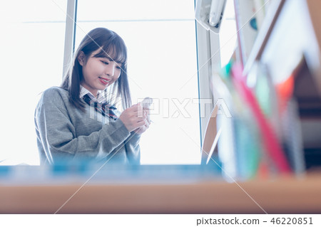 high school girl high school girl 46220851