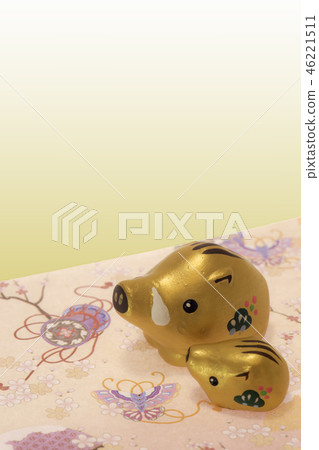 Parent and child of wild boar Parent and child of wild boar 46221511