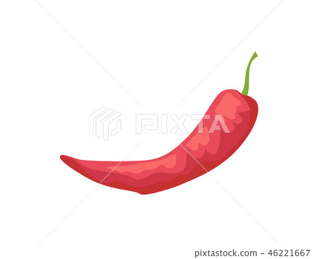 Pepper Raw Spicy Vegetable Vector Illustration 46221667