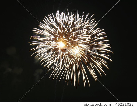 Decorate the summer night sky Fireworks 46221822