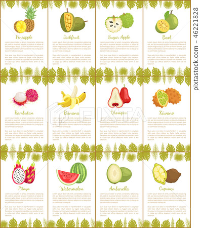 Pomelo and Longan Posters Vector Illustration Pomelo and Longan Posters Vector Illustration 46221828