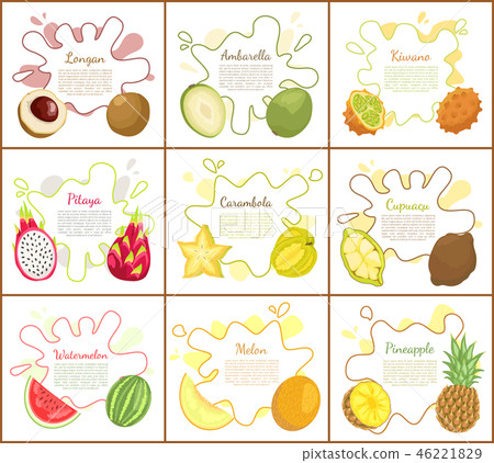 Longan and Pitaya Posters Set Vector Illustration Longan and Pitaya Posters Set Vector Illustration 46221829
