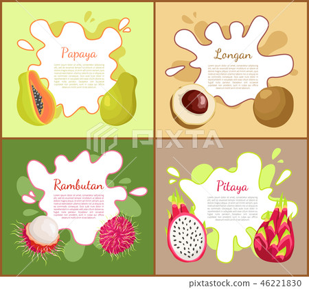 Papaya and Longan Posters Set Vector Illustration 46221830